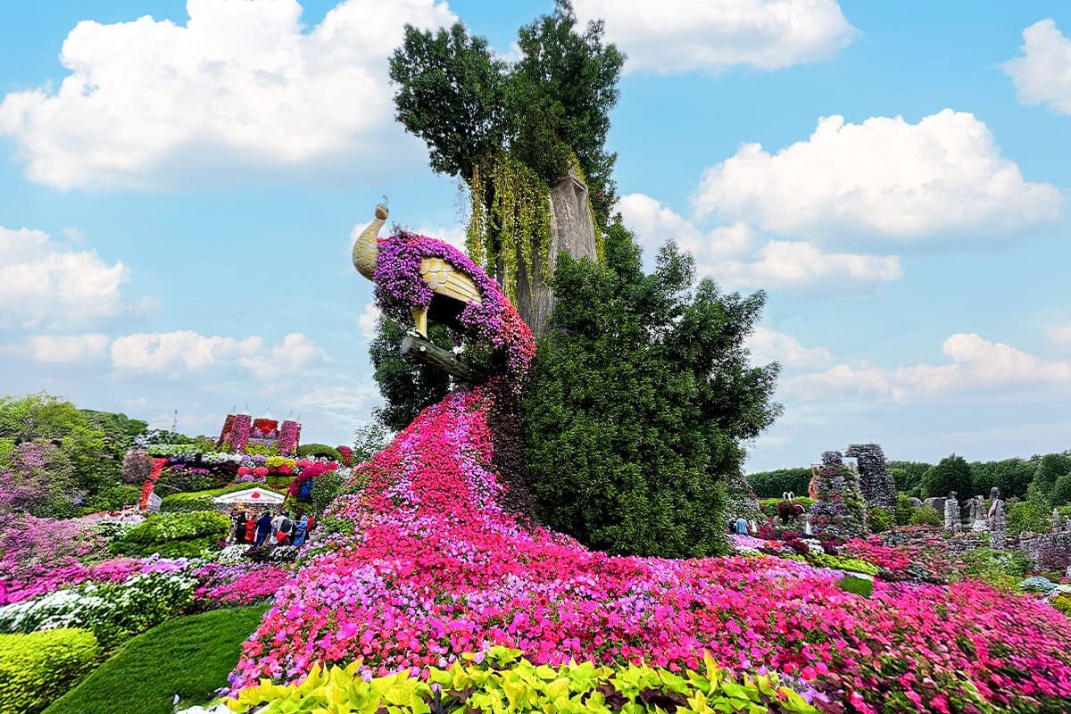 Dubai Miracle Garden